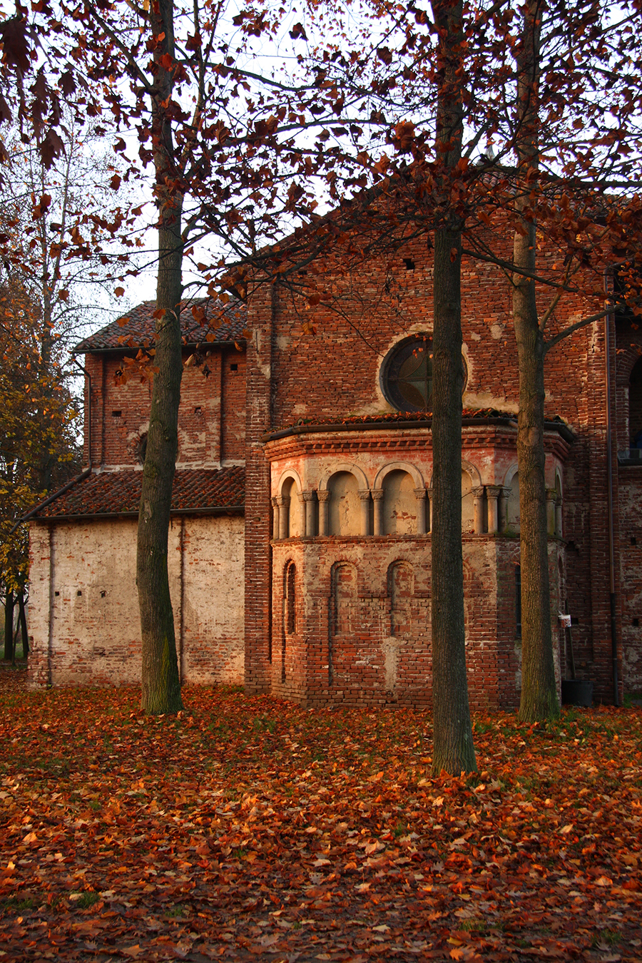 Vista laterale
Foto di Alessandro Vecchi (CC-BY-SA)