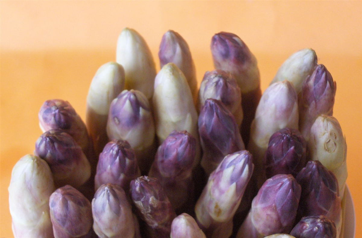 Asparago di Cilavegna